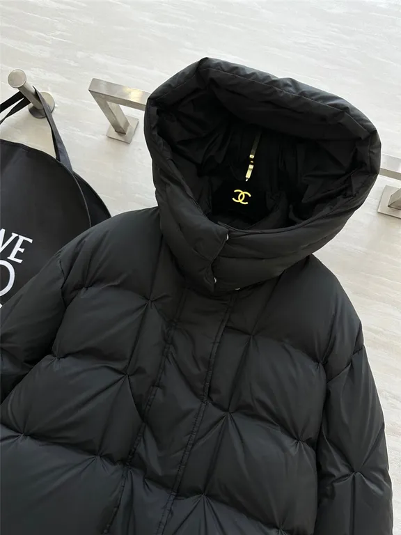 Loewe hooded down jacket